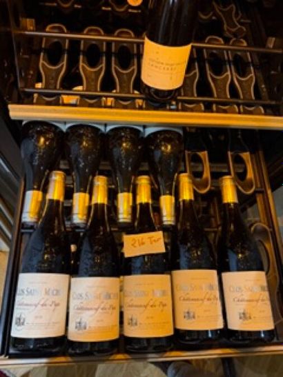 9 bouteilles de Clos Saint Michel Chateauneuf...