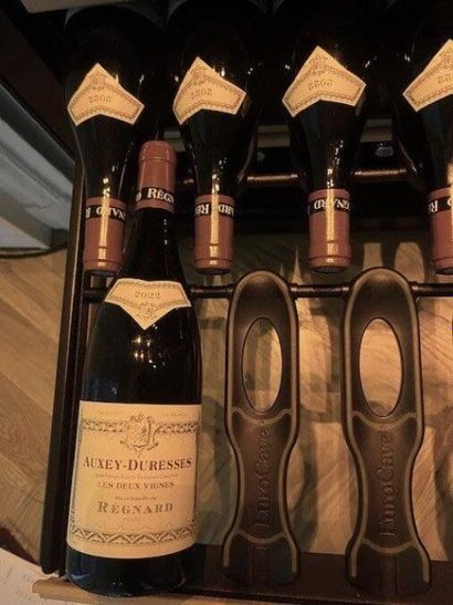 STOCK de bouteilles de vins comprenant :
(dans...