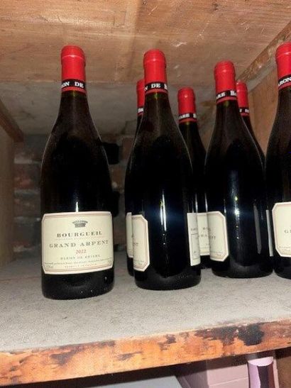 STOCK de bouteilles de vins comprenant :
(dans...
