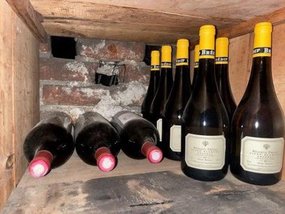 STOCK de bouteilles de vins comprenant :
(dans...