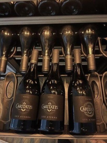 STOCK de bouteilles de vins comprenant :
(dans...