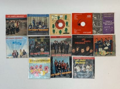 Dick RIVERS - Les chats sauvages 
13 disques...