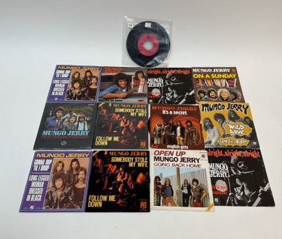MUNGO JERRY
13 disques 45T