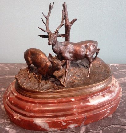 D'après Pierre Jules MENE (1810 – 1879)
Cerf...