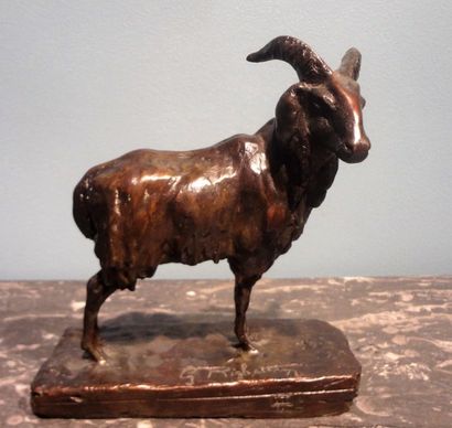 Guido RIGHETTI (1875-1958)
Mouflon de Sardaigne

Epreuve...