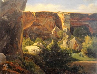 Ecole du XIXème siècle

Paysage montagneux

Huile...