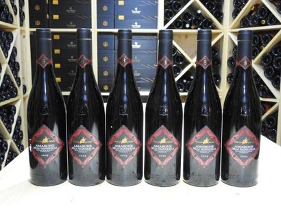 6 B AMARONE DELLA VALPOLICELLA, 2003, Cantina...