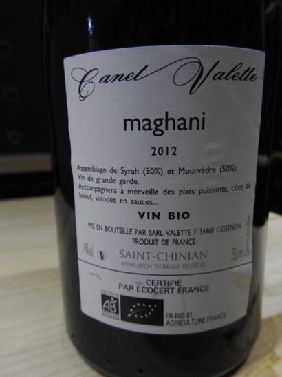 12 B SAINT-CHINIAN MAGHANI, 2012, Canet ...