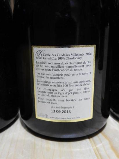 3 B CHAMPAGNE BRUT CUVEE DES CAUDALIES ,...