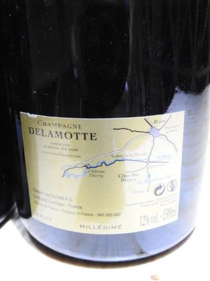 2 Mag CHAMPAGNE BRUT COLLECTION, 1983, D...