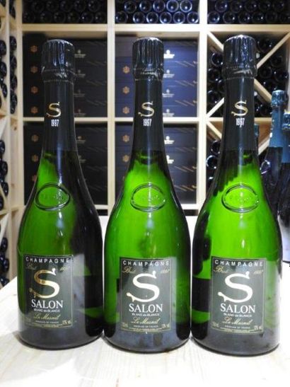 3 B CHAMPAGNE BRUT, 1997, Salon