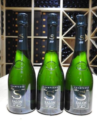 3 B CHAMPAGNE BRUT, 2002, Salon