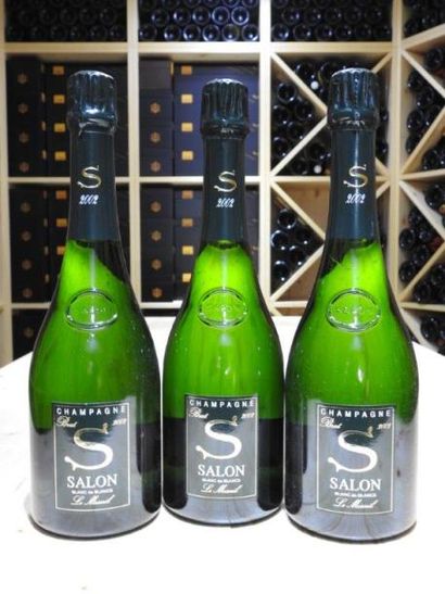 3 B CHAMPAGNE BRUT, 2002, Salon