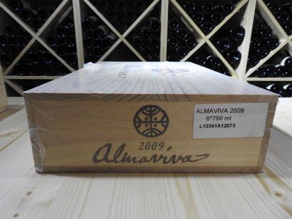 6 B ALMAVIVA (Caisse Bois filmée), 2009,...