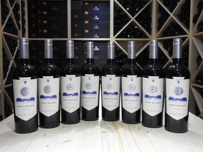 8 B FLECHAS DE LOS ANDES GRAN MALBEC MENDOZA,...