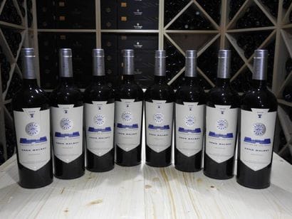8 B FLECHAS DE LOS ANDES GRAN MALBEC MENDOZA,...