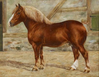 Wilhelm WESTEROP (1876-1954).
