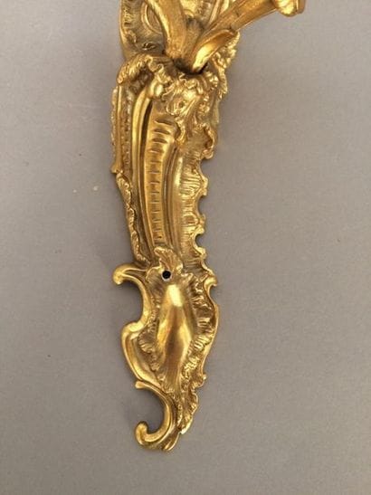 Paire d'appliques en bronze doré et ciselé...