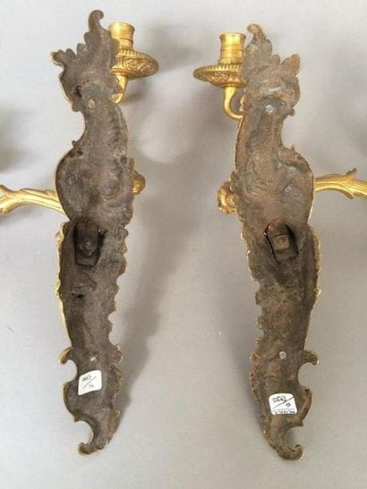 Paire d'appliques en bronze doré et ciselé...