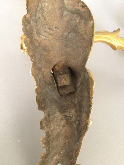 Paire d'appliques en bronze doré et ciselé...