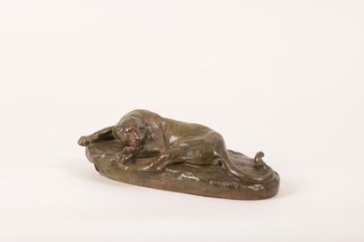 Clovis MASSON (1838-1913)
Jaguar couché
Bronze...