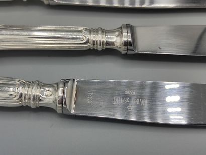 Full set of table knives (12) of filets model...