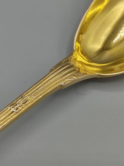 Stew spoon / serving spoon in silver entirely...