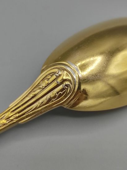 Stew spoon / serving spoon in silver entirely...