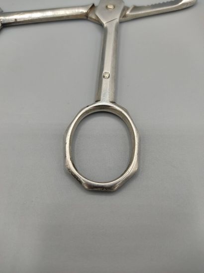 Original silver sugar tongs in the form of...