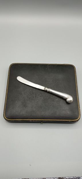 Service composed of its 6 dessert knives...