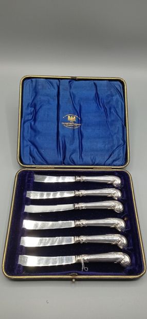 Service composed of its 6 dessert knives...