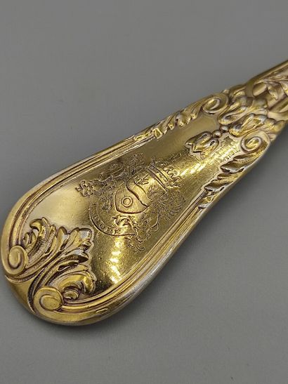 Stew spoon / serving spoon in silver entirely...