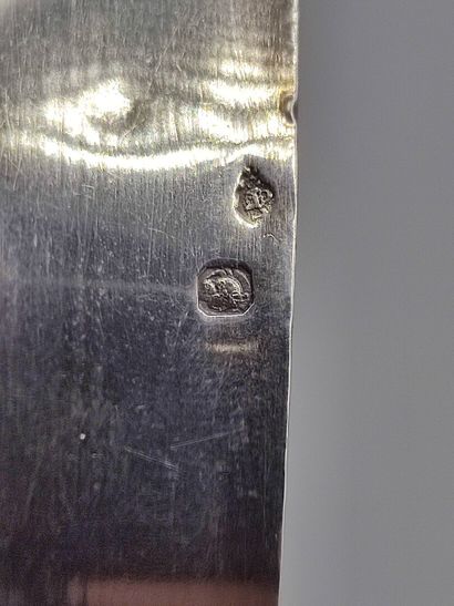 Silver wine-taster with handle with facing...