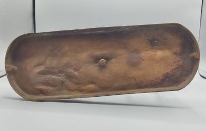 Count Geoffroy de LAPLANCHE DE RUILLE (1842-1922).

