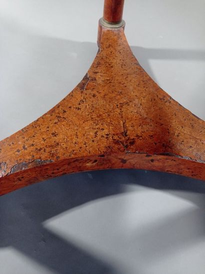 Ensemble de salon en bois de loupe et bois...