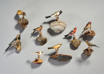 Série de 9 oiseaux en bois polychromé.

Base...