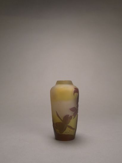 Emile GALLE (1846-1904)

Vase en verre jaune...