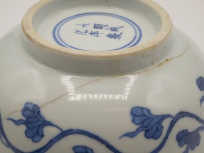 CHINE

Bol en porcelaine bleu et blanche...