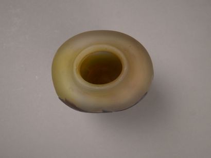 Emile GALLE (1846-1904)

Vase en verre jaune...