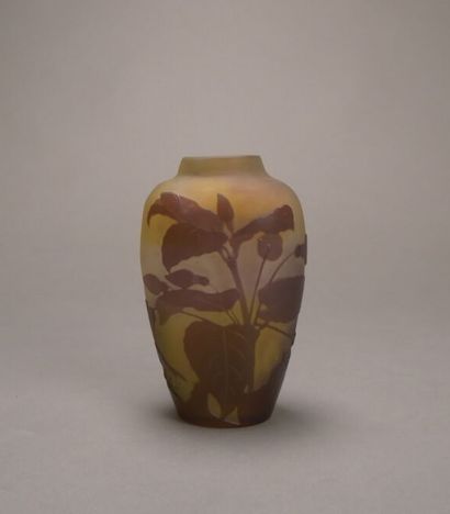 Emile GALLE (1846-1904)

Vase en verre jaune...