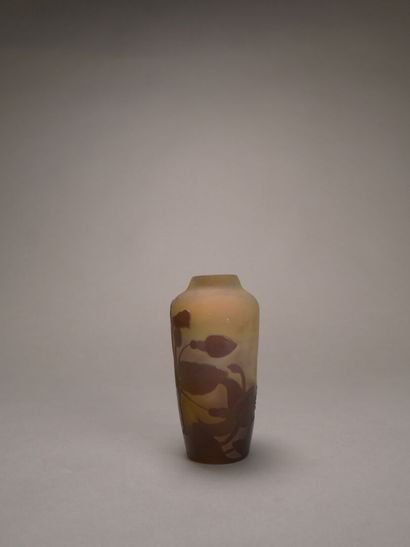 Emile GALLE (1846-1904)

Vase en verre jaune...