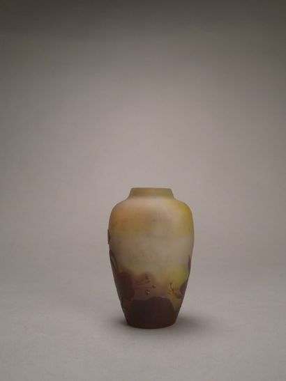 Emile GALLE (1846-1904)

Vase en verre jaune...