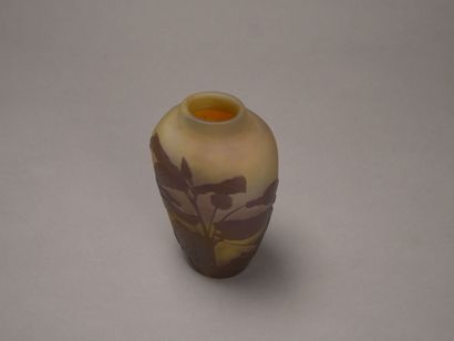 Emile GALLE (1846-1904)

Vase en verre jaune...