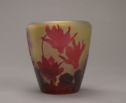 Émile GALLÉ (1846-1904).

Vase en verre nuancé...