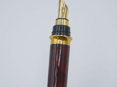Style plume DUPONT en 