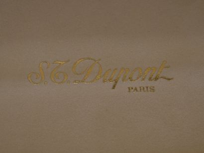 Style plume DUPONT en 