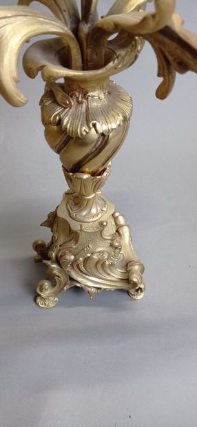Garniture de cheminée en bronze doré et ciselé...