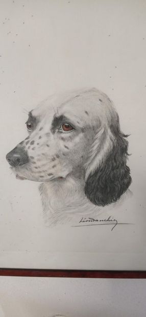 Léon DANCHIN (1887-1938) d'après.

