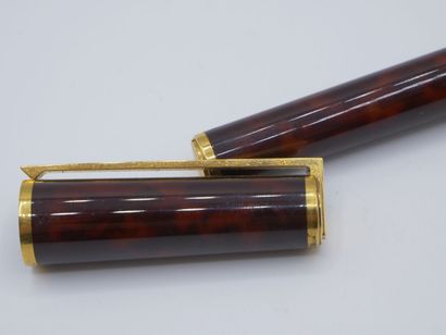 Style plume DUPONT en 