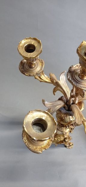 Garniture de cheminée en bronze doré et ciselé...